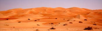 080405-Liwa-045