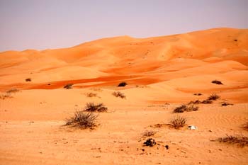 080405-Liwa-046