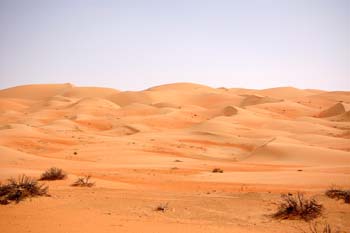 080405-Liwa-048