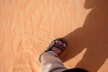 desert_photo