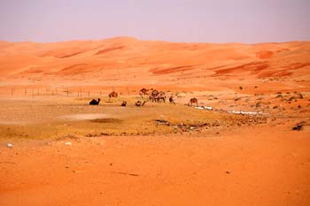080405-Liwa-076
