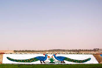 080405-Liwa-078