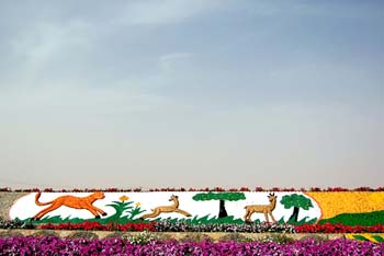080405-Liwa-082