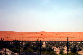 080405-Liwa-084