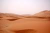 080405-Liwa-036