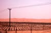 080405-Liwa-083