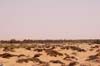 080405-Liwa-087