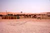 080405-Liwa-106